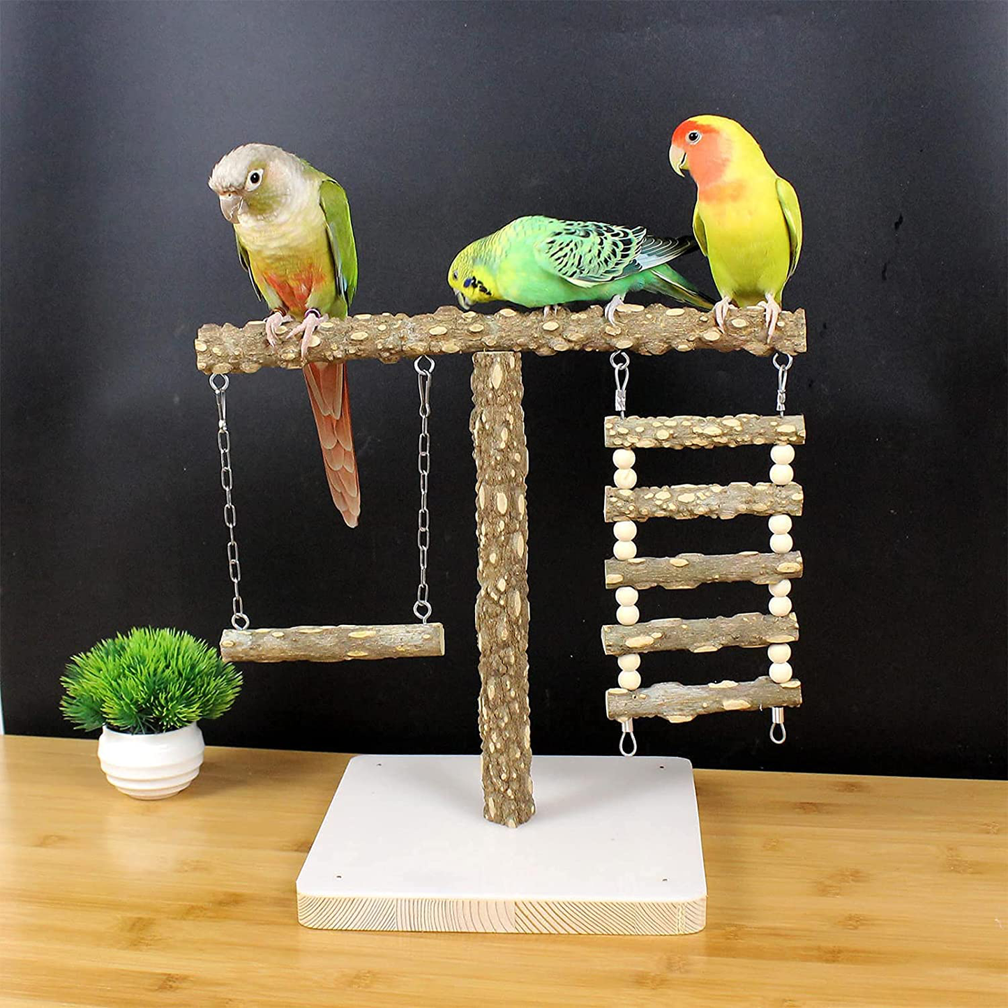 QBLEEV Bird Tabletop Training Perch Play Stand, Portable Parrot Swing Toys Wood Bird Cage Toys, Bird Perches Standing Sticks Exercise Gym Playground for Parakeets Cocktails Conures Lovebirds Animals & Pet Supplies > Pet Supplies > Bird Supplies > Bird Gyms & Playstands QBLEEV