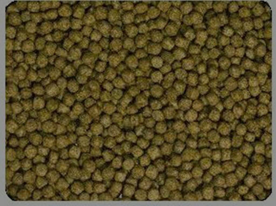 Aquatic Turtle Food Growth 6 Lbs Bulk for Turtles from 2-6 Inches in Size. Animals & Pet Supplies > Pet Supplies > Reptile & Amphibian Supplies > Reptile & Amphibian Food Good Reptile Food