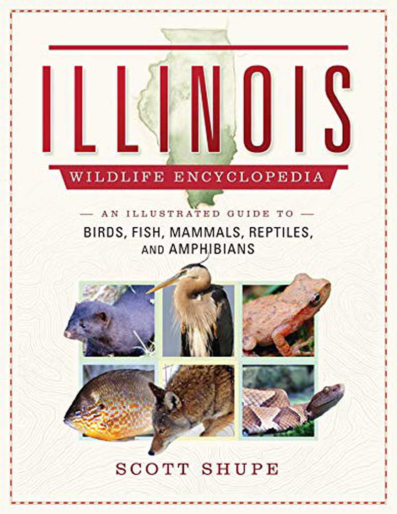 The Illinois Wildlife Encyclopedia: an Illustrated Guide to Birds, Fish, Mammals, Reptiles, and Amphibians Animals & Pet Supplies > Pet Supplies > Reptile & Amphibian Supplies > Reptile & Amphibian Habitats KOL PET