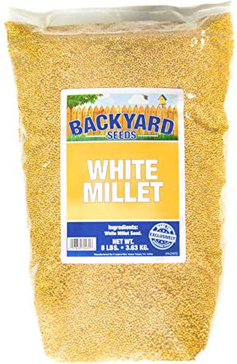 Backyard Seeds White Millet Bird Seed for Finches 8 Pounds Animals & Pet Supplies > Pet Supplies > Bird Supplies > Bird Food CountryMax