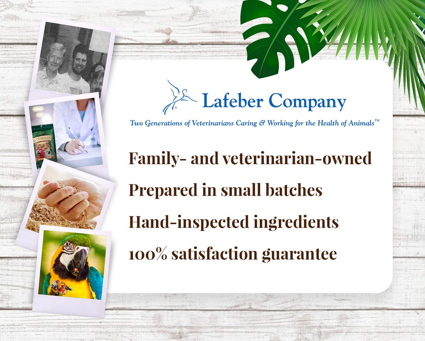 Lafeber Tropical Fruit Nutri-Berries Pet Bird Food, Made with Non-Gmo and Human-Grade Ingredients, for Macaws and Cockatoos, 3 Lb Animals & Pet Supplies > Pet Supplies > Bird Supplies > Bird Treats LAFEBER'S