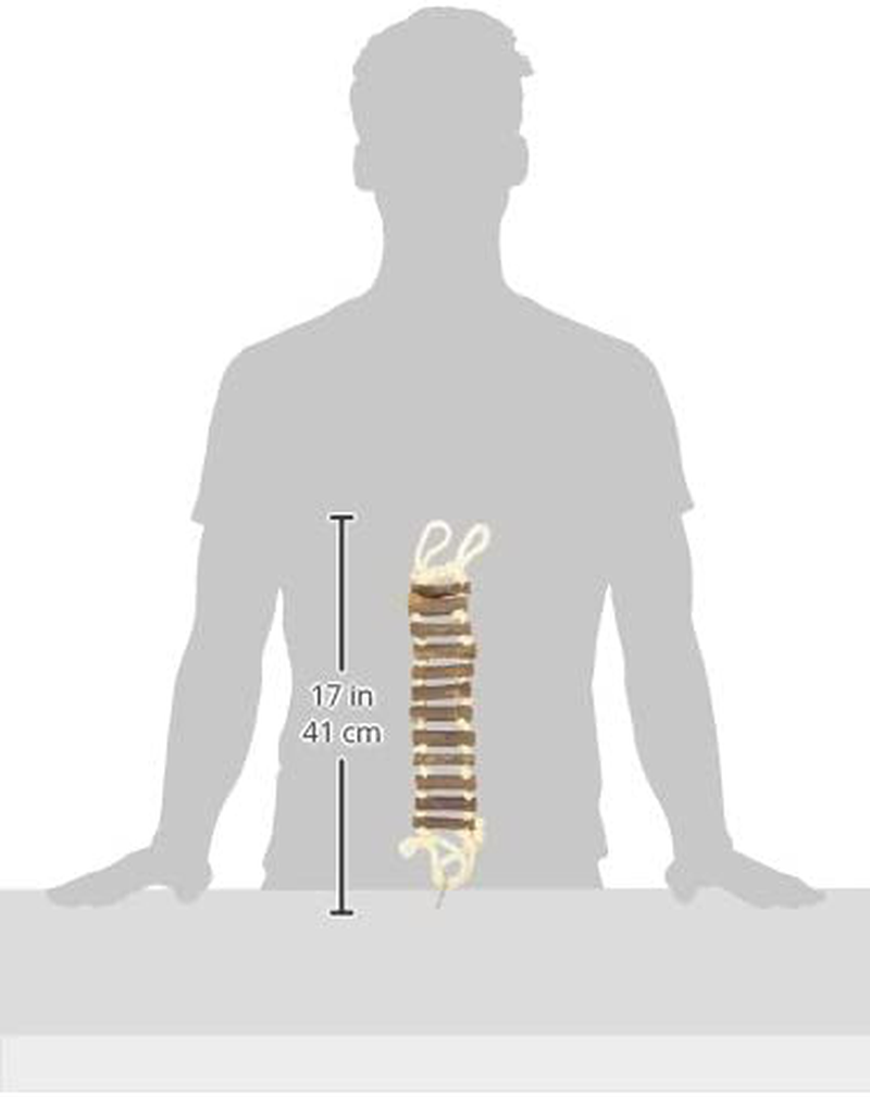 Prevue Hendryx 62806 Naturals Rope Ladder Bird Toy Animals & Pet Supplies > Pet Supplies > Bird Supplies > Bird Ladders & Perches Prevue Hendryx