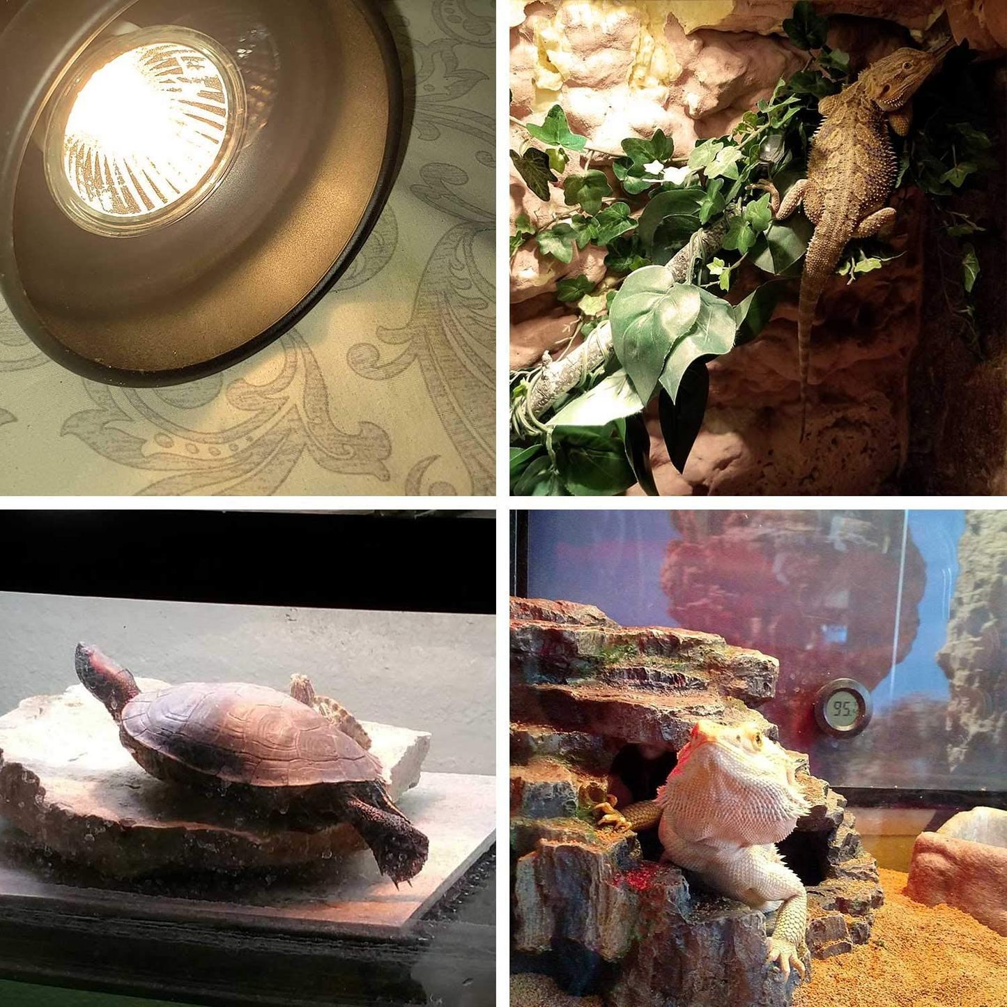 OMAYKEY 3-Pack 75W UVA + UVB Full Spectrum Sun Lamp Sunbathe Heat Lamp/Bulb/Light for Lizard Reptiles and Amphibians Animals & Pet Supplies > Pet Supplies > Reptile & Amphibian Supplies > Reptile & Amphibian Habitat Heating & Lighting OMAYKEY