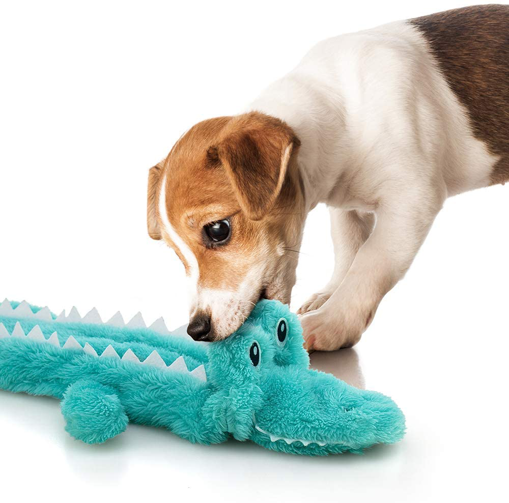 AWOOF Dog Toys No Stuffing, 5 Pack Dog Squeaky Toys Durable Dog Chew Toy Set for Puppy Small Medium Large Dog Animals & Pet Supplies > Pet Supplies > Dog Supplies > Dog Toys AWOOF