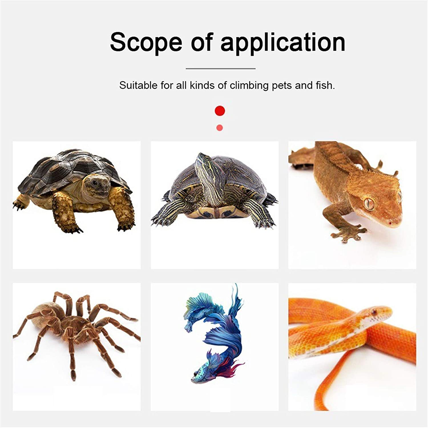 LYHSH Pet Heating Pad Thermal Lizard Safety Insulation Reptile Pet Warmer 5V 2A Electric Cloth Heater Home USB Heating Pad Bed Winter Portable Reptile & Amphibian Habitat (Color : 2 S) Animals & Pet Supplies > Pet Supplies > Reptile & Amphibian Supplies > Reptile & Amphibian Habitats LYHSH