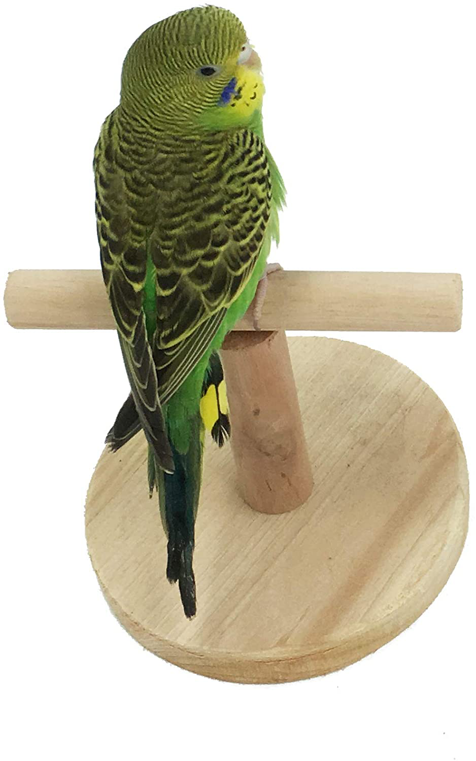 MINORPET Birds Stand, Wood Bird Perch Training Playstand Playground Play Gym for Parrots/Lovebirds/Cockatiels/Parakeets and More Animals & Pet Supplies > Pet Supplies > Bird Supplies > Bird Cage Accessories MINORPET