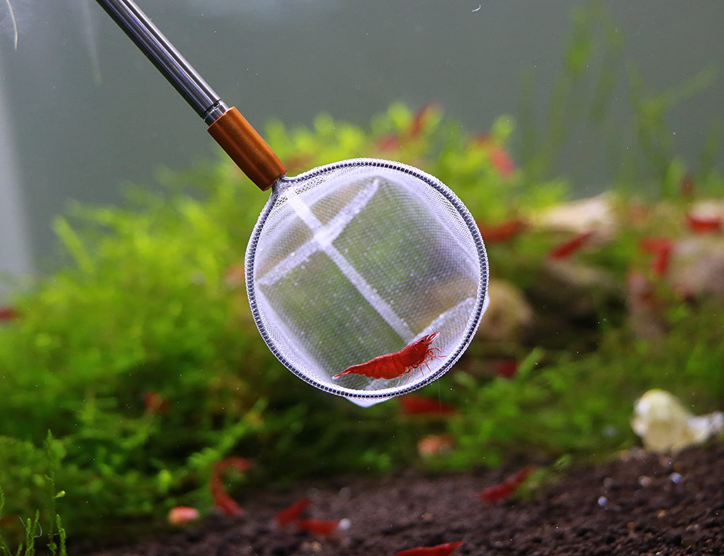 Extendable 3D Aquarium Net for Shrimp, Small Fish, Tetra, Betta, Aquarium Fish Tank Animals & Pet Supplies > Pet Supplies > Fish Supplies > Aquarium Fish Nets SoShrimp