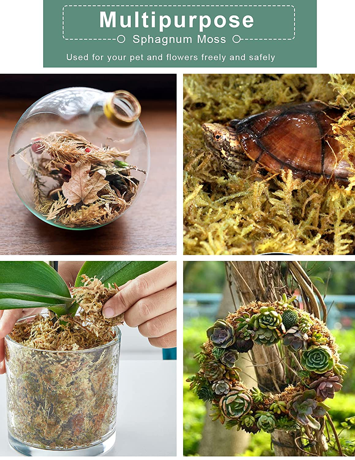 Orchid Sphagnum Moss, 2Qt Succulent Dried Moss, Garden Bonsai Pot Mix, Moisture-Holding Plant Growing Medium for Flowers Plant Pot and Reptiles Animals & Pet Supplies > Pet Supplies > Reptile & Amphibian Supplies > Reptile & Amphibian Substrates TOYPOPOR