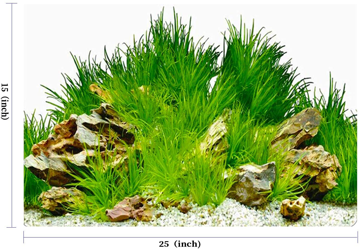 Amalong New Grass, Stones, Tree Background,Aquarium Background Decoration Animals & Pet Supplies > Pet Supplies > Fish Supplies > Aquarium Decor Amalong