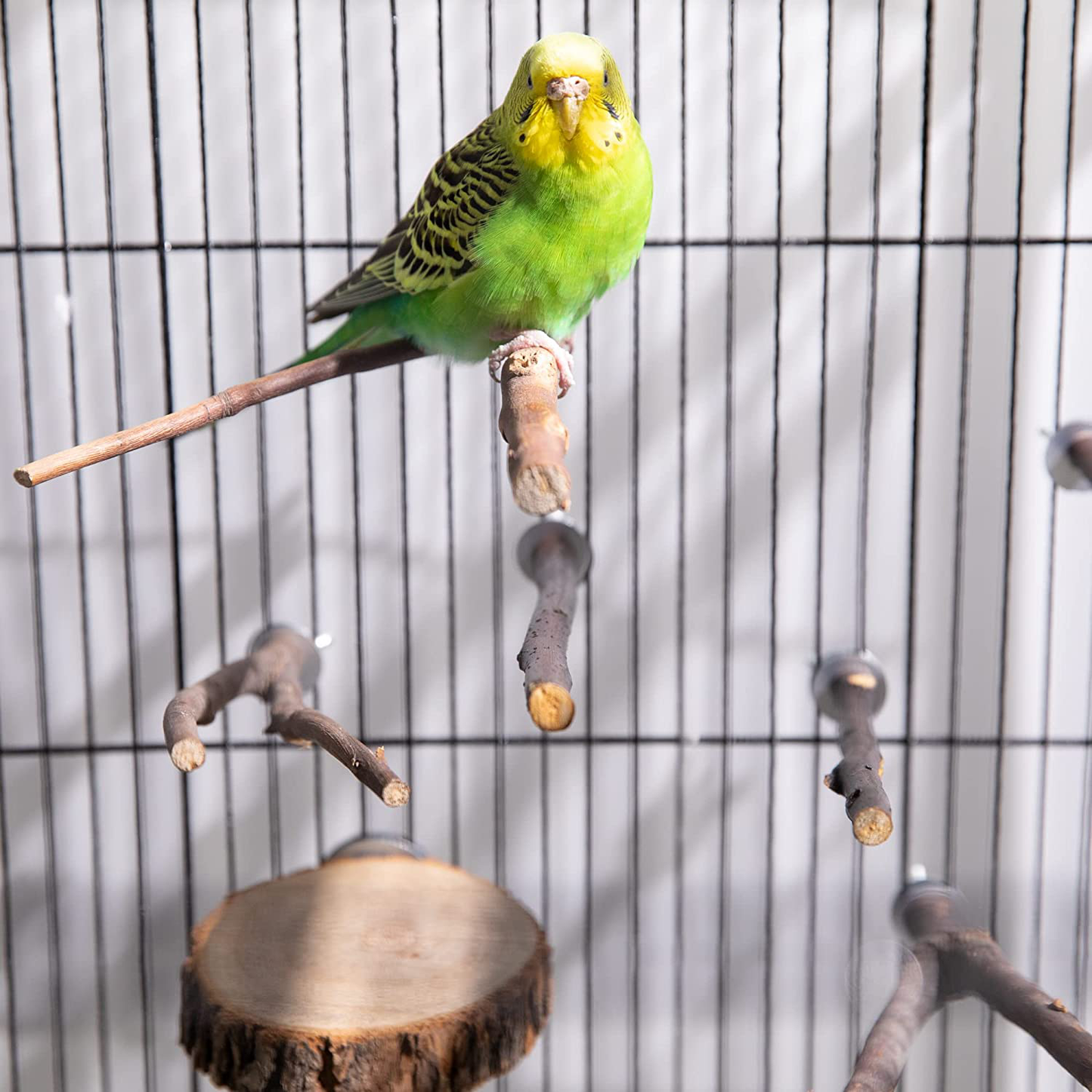 Deloky 8 PCS Natural Wood Bird Perch Stand-Wooden Parrot Perch Stand-Perch Platform Cage Accessories for Parrotlets Budgies Cockatiels Parakeets Lovebirds Animals & Pet Supplies > Pet Supplies > Bird Supplies > Bird Cage Accessories Deloky