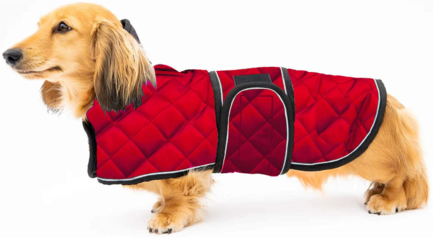 Geyecete Warm Thermal Quilted Dachshund Coat, Dog Winter Coat with Warm Fleece Lining, Outdoor Dog Apparel with Adjustable Bands for Medium, Large Dog Animals & Pet Supplies > Pet Supplies > Dog Supplies > Dog Apparel Geyecete Red Medium