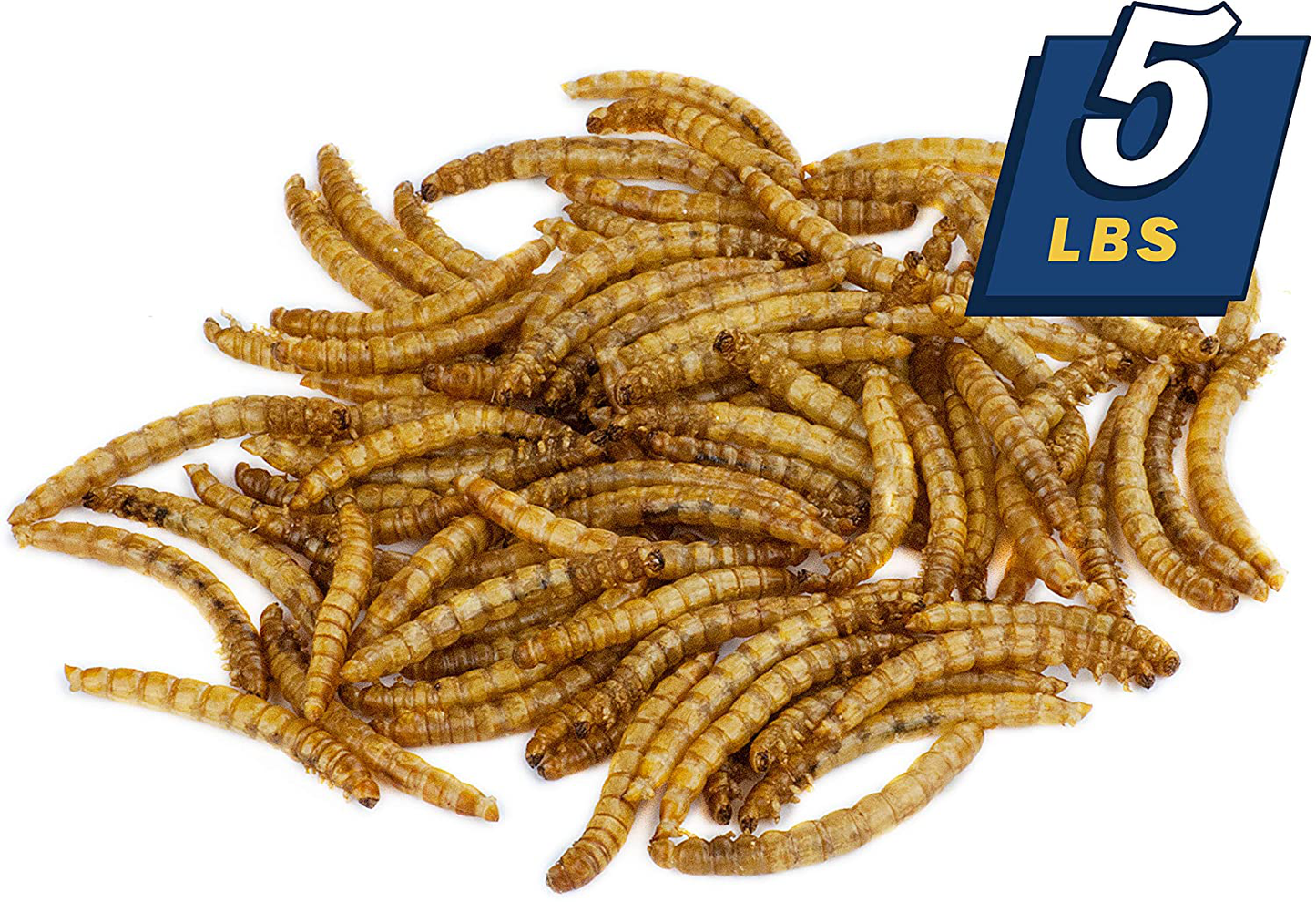 MBTP Bulk Dried Mealworms - Treats for Chickens & Wild Birds (5 Lbs) Animals & Pet Supplies > Pet Supplies > Bird Supplies > Bird Treats Mealworms by the Pound