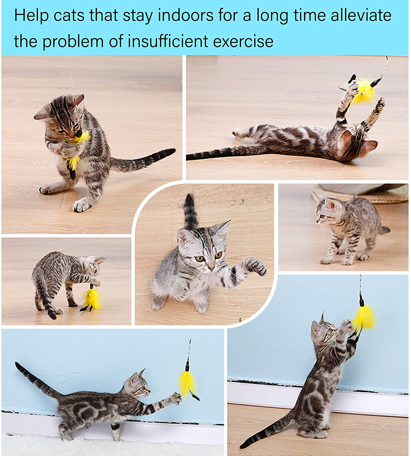Cat Feather Toys 9 Piece Set, for Indoor Cats 1Pcs Retractable Cat Wand Toy & 8Pcs Natural Feather Teaser Replacements with Bell, Interactive Catcher Teaser and Funny Exercise for Kitten or Cats Animals & Pet Supplies > Pet Supplies > Cat Supplies > Cat Toys seninhi