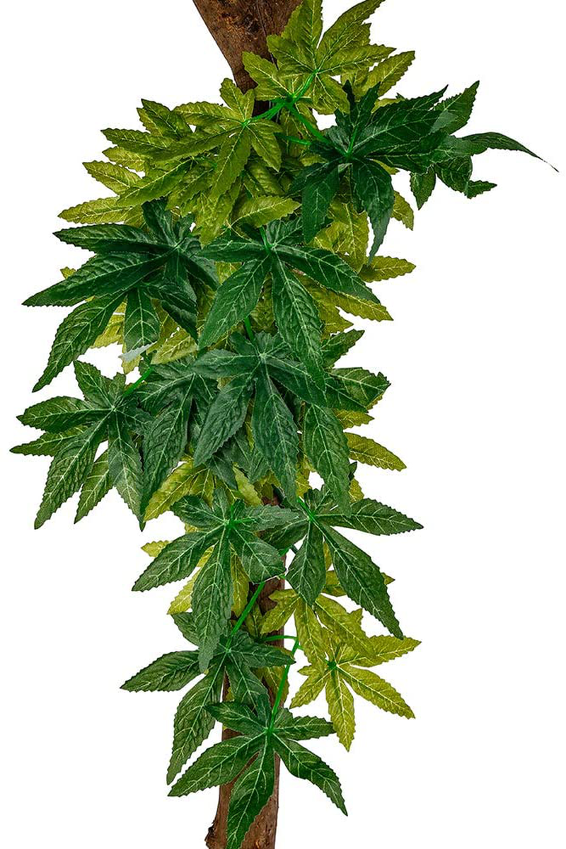 Fivebull Reptile Silk Plants Leaves , Habitat Amphibian Accessories Enclosure Decor Tank Decoration Vines for Climbing, Decorate Grass Leaf with Suction Cup for Reptile & Amphibian Habitat Plants Animals & Pet Supplies > Pet Supplies > Reptile & Amphibian Supplies > Reptile & Amphibian Substrates FiveBull Black