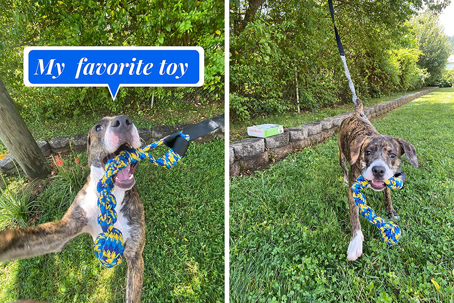 LOOBANI Dog Outdoor Bungee Hanging Toy, Interactive Tether Tug Toy for Small to Large Dogs to Exercise & Solo Play,Durable Tugger for Tug of War,With Chew Rope Toy Animals & Pet Supplies > Pet Supplies > Dog Supplies > Dog Toys LOOBANI