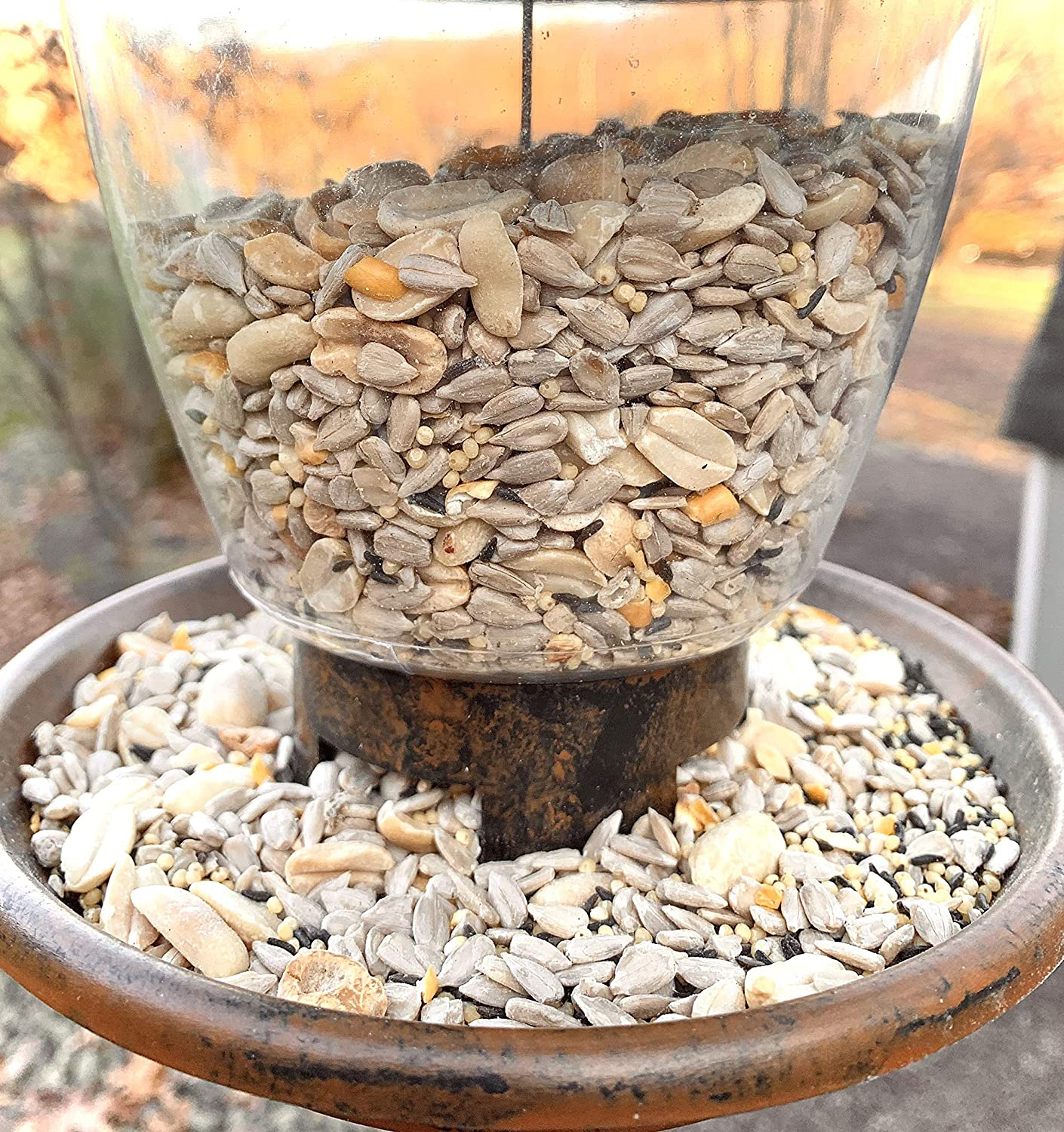 Hearty Delight Wild Bird Food Animals & Pet Supplies > Pet Supplies > Bird Supplies > Bird Food Valley Farms
