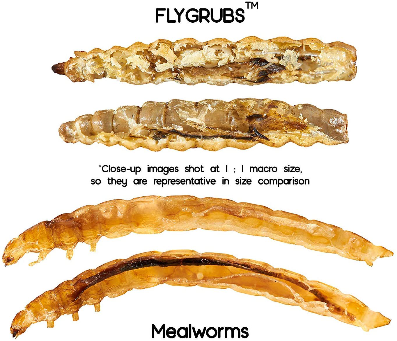 FLYGRUBS Superior to Dried Mealworms for Chickens (10 Lb) - 85X More Calcium than Meal Worms - Non-Gmo Chicken Feed Additive & Molting Supplement - BSFL Treats for Hens, Ducks, Wild Birds… Animals & Pet Supplies > Pet Supplies > Bird Supplies > Bird Treats FLYGRUBS