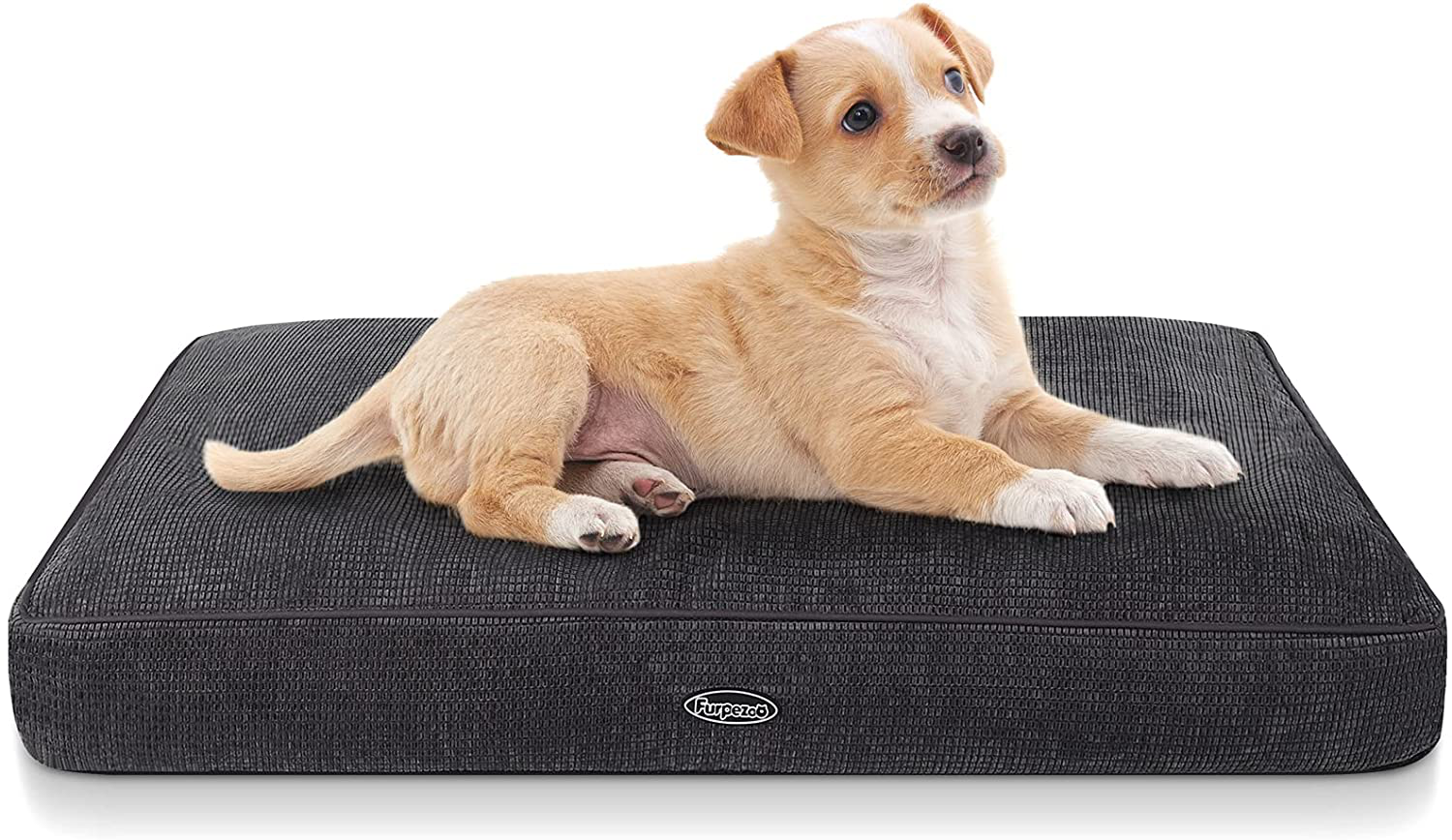 How to clean foam dog bed online