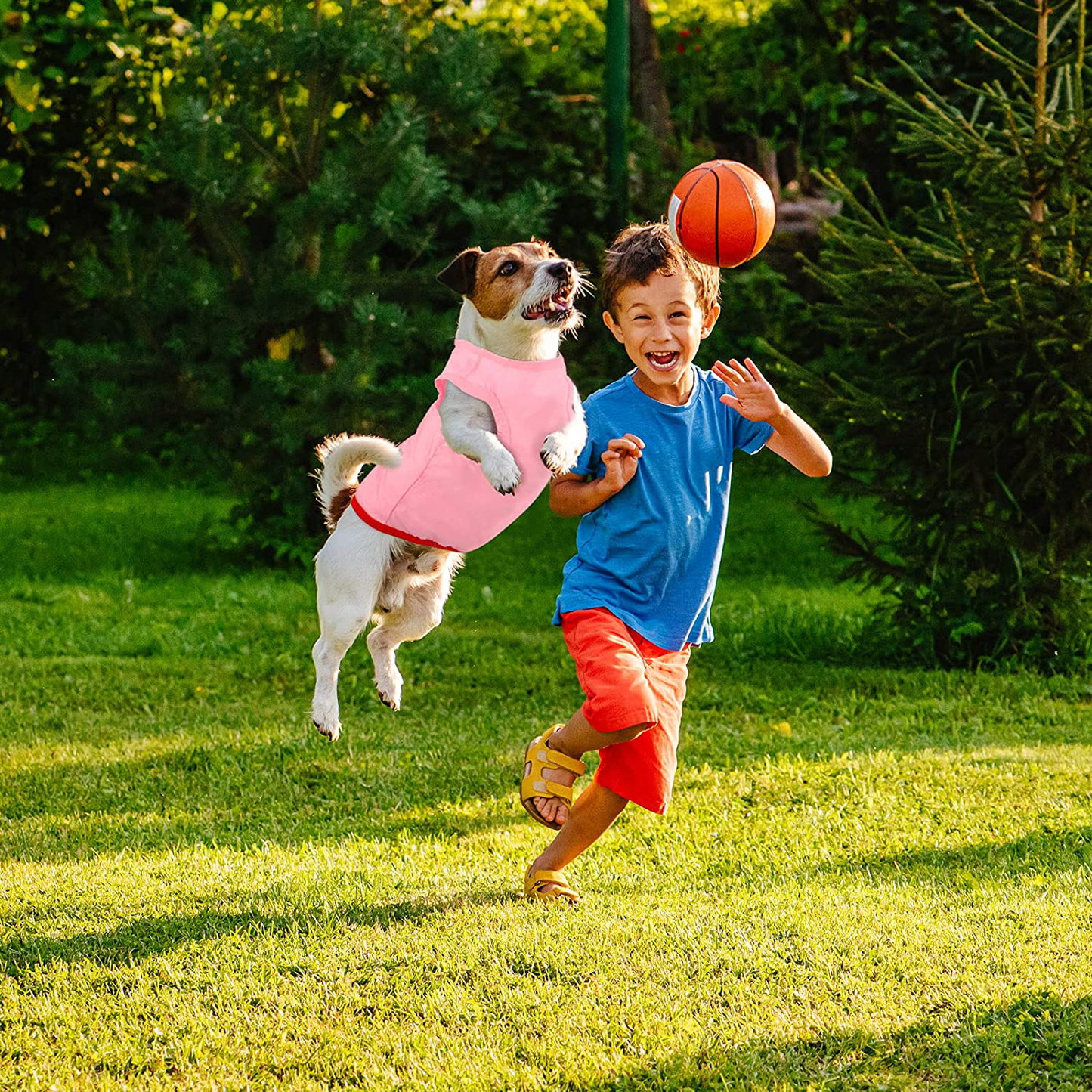 URATOT 12 Pieces Puppy Sleeveless T-Shirt Pet Clothes Dog Pullover Soft Shirt Pet Dog Vest Printed Puppy Shirts for Dog and Cat Wear, Various Styles Animals & Pet Supplies > Pet Supplies > Dog Supplies > Dog Apparel URATOT