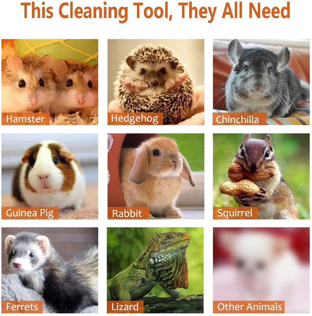 Rypet Cage Cleaner for Guinea Pigs, Hamsters, Chinchillas, Rabbits, Reptiles, Hedgehogs and Other Small Animals - Mini Dustpan and Brush Set Cleaning Tool for Animal Waste (1 Pack) Animals & Pet Supplies > Pet Supplies > Small Animal Supplies > Small Animal Habitat Accessories RYPET