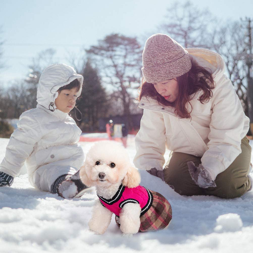 BINGPET Cute Dog Sweater Dress - Warm Pullover Puppy Cat Knit Clothes with Classic Plaid Pattern for Fall Winter Animals & Pet Supplies > Pet Supplies > Cat Supplies > Cat Apparel BINGPET