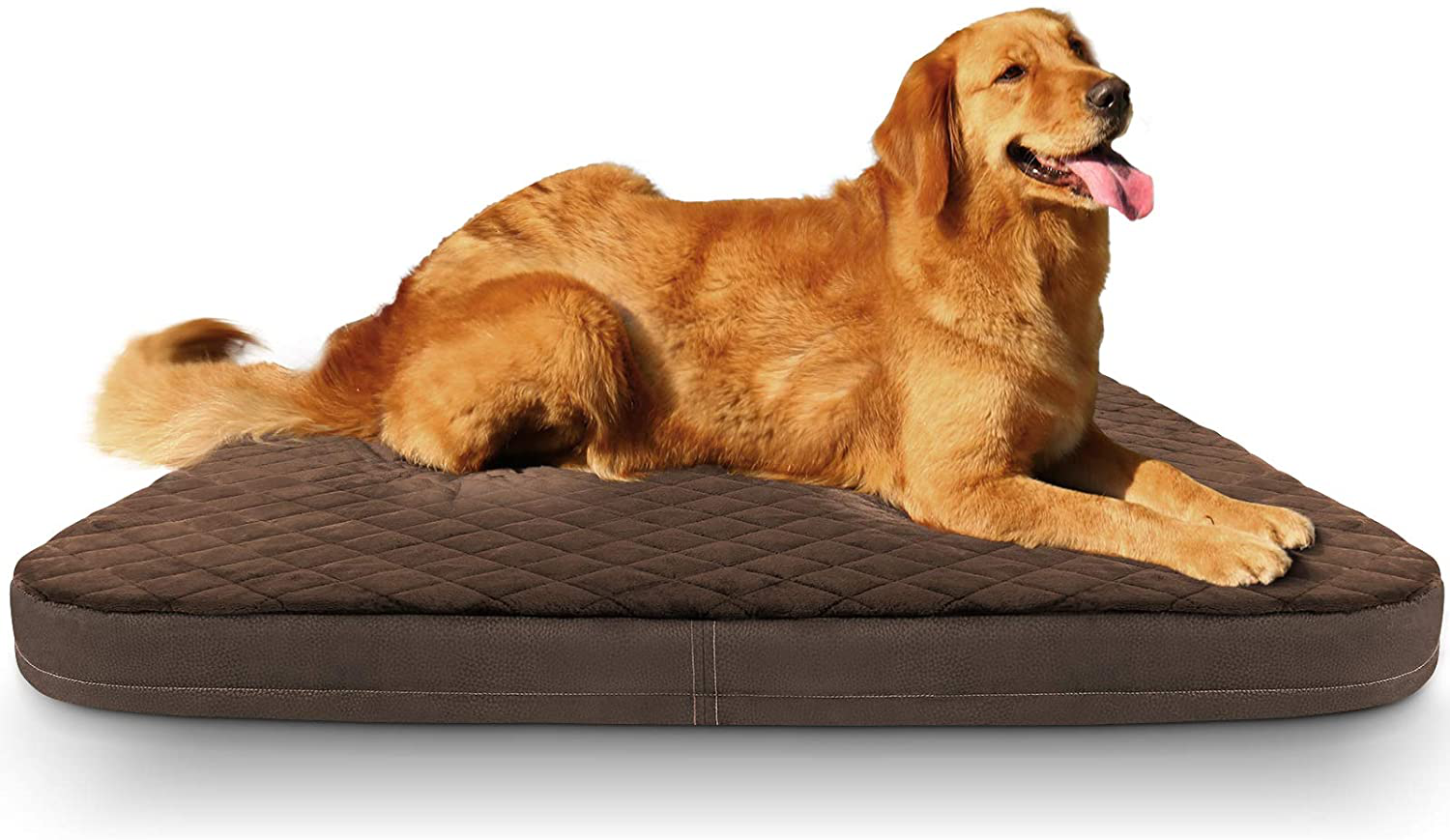 Pet Beds & Sleeping Pads