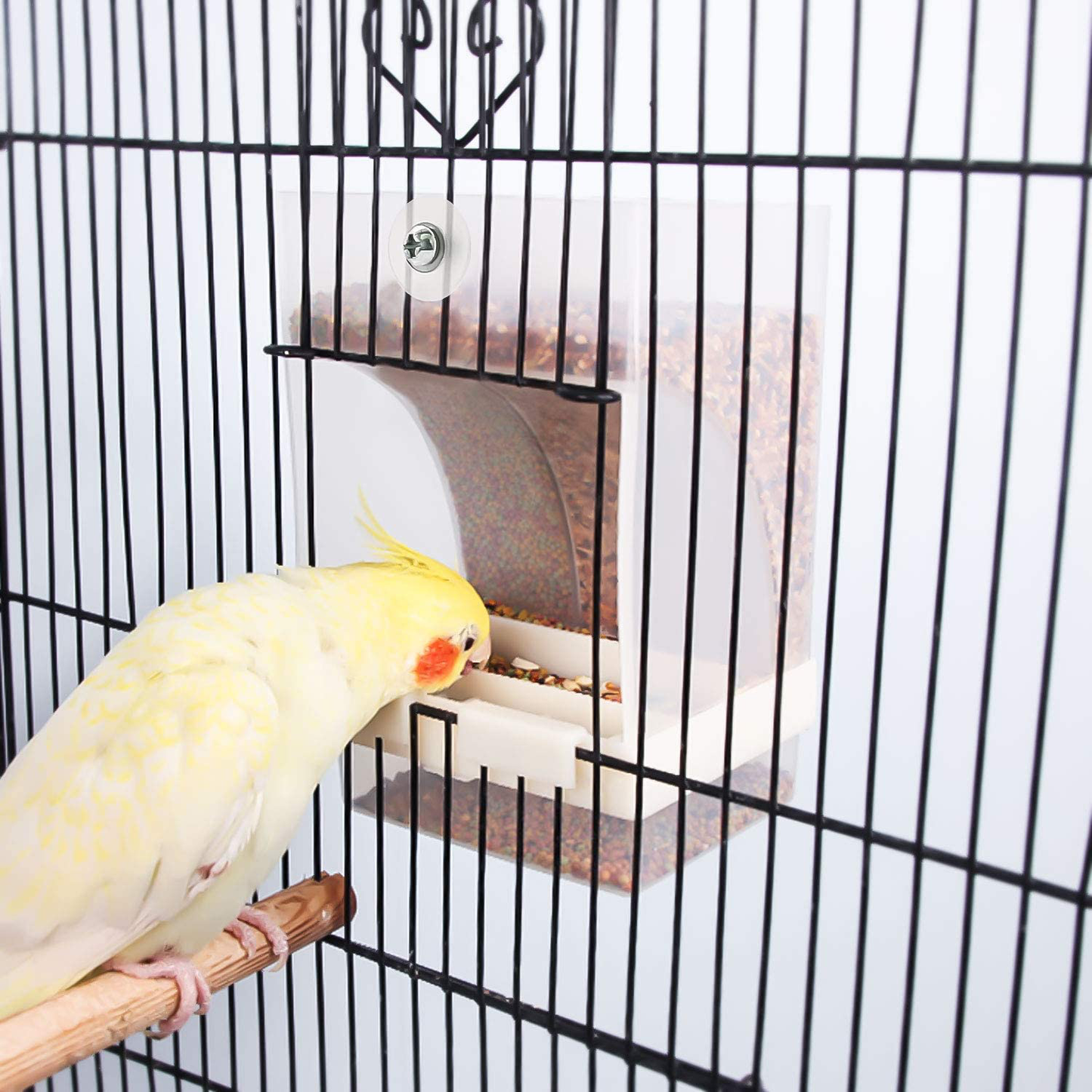 Rypet 2 PCS No-Mess Bird Feeder - Integrated Parrot Automatic Feeder for Small to Medium Birds Seed Food Container Animals & Pet Supplies > Pet Supplies > Bird Supplies > Bird Cage Accessories RYPET