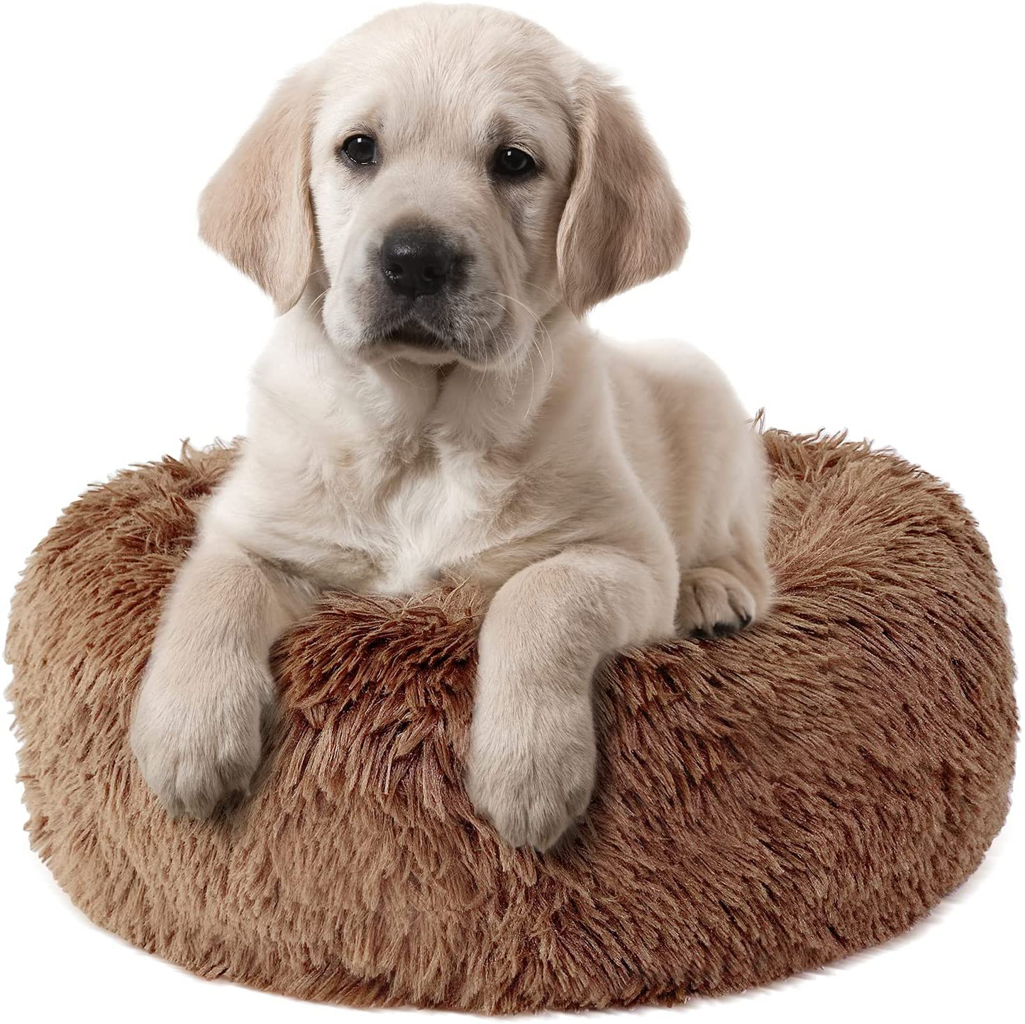 Fluffy Dog Bed for Small Dogs and Cats,Original Calming Donut Dog Bed,Washable Cozy Dog Bed with Extra Soft Anti-Slip Bottom, Self Warming Styles&Multiple Size 28“ Animals & Pet Supplies > Pet Supplies > Dog Supplies > Dog Beds Queeplo Brown