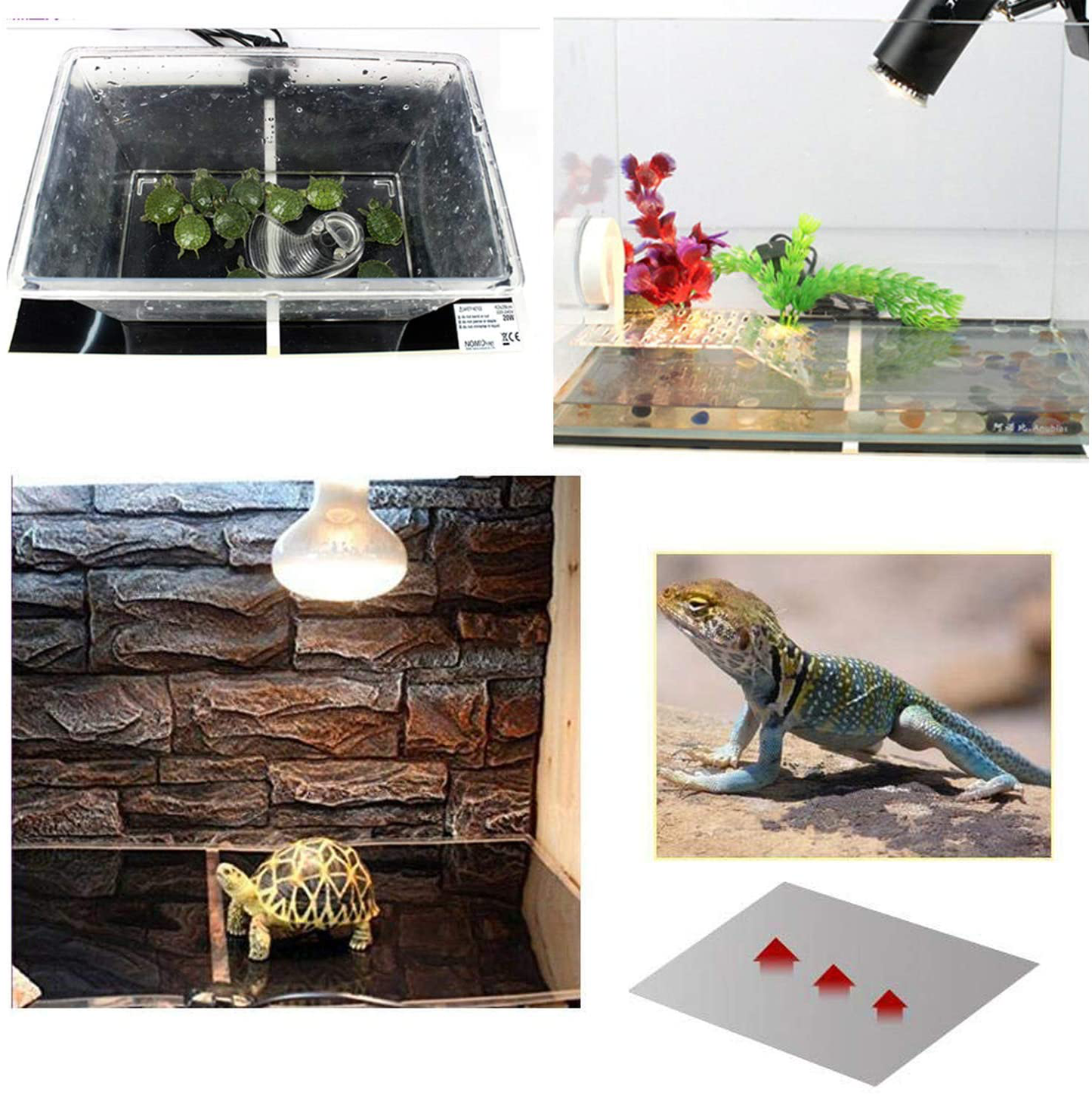 Reptile Heating Pad, Atian Reptile Tank Warmer with Temperature Controller Pet Heat Mats 7W Animals & Pet Supplies > Pet Supplies > Reptile & Amphibian Supplies > Reptile & Amphibian Habitat Heating & Lighting ZOIPPDMS ATian