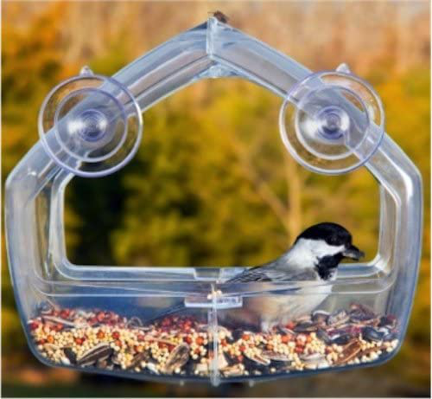 Wagner'S 62042 Songbird Supreme Blend Wild Bird Food, 8-Pound Bag Animals & Pet Supplies > Pet Supplies > Bird Supplies > Bird Food Wagner's