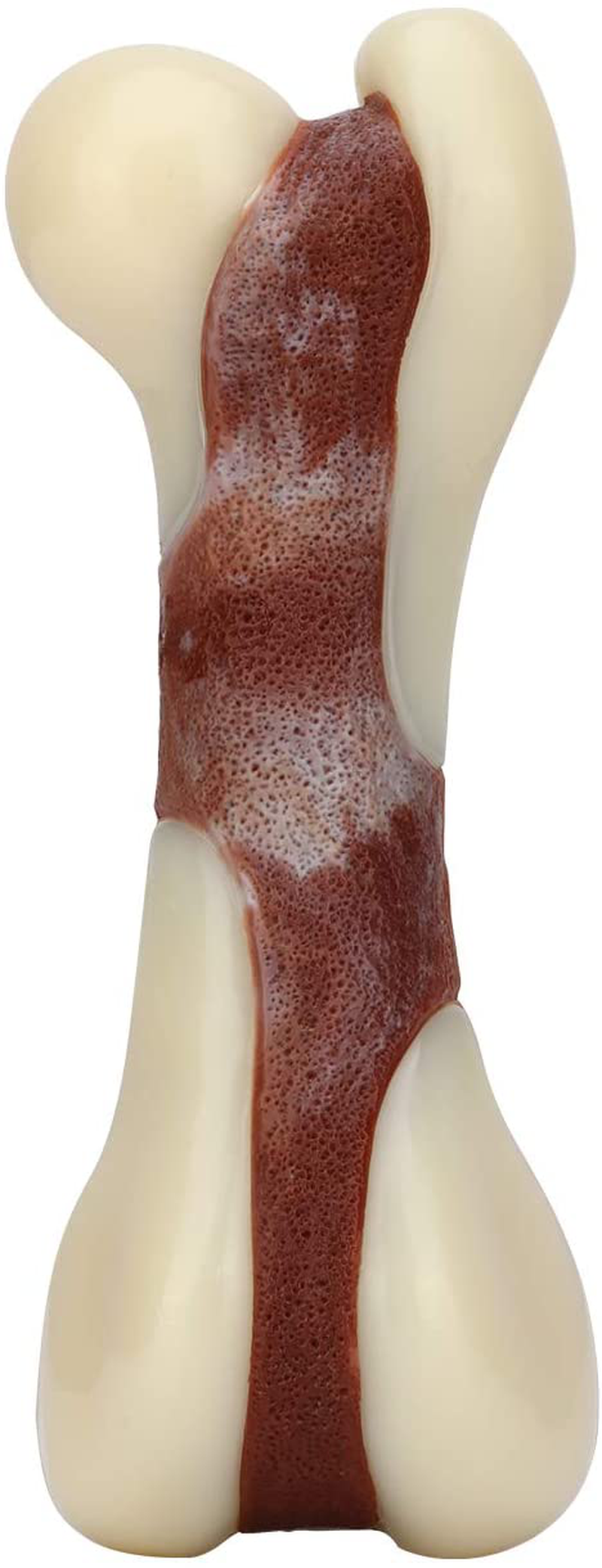 Indestructible Dog Chew Toys for Aggressive Chewers, Tikaton Real Beef Flavor Durable Dog Teething Chew Toys Bones for Large / Medium / Small Puppies Animals & Pet Supplies > Pet Supplies > Dog Supplies > Dog Toys Tikaton Medium