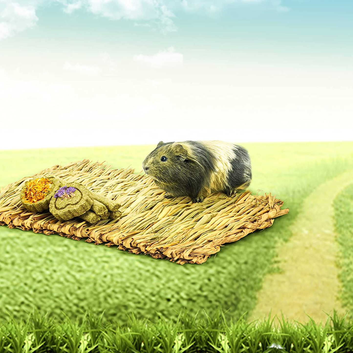 NC Rabbit Grass House, Hand Weave Bunny Hideout Natural Small Animals Habitats Foldable Grass Hut with Hamster Chew Toys Guinea Pig Pads for Bunny Chinchilla and Other Small Animals Play Animals & Pet Supplies > Pet Supplies > Small Animal Supplies > Small Animal Habitats & Cages N\C