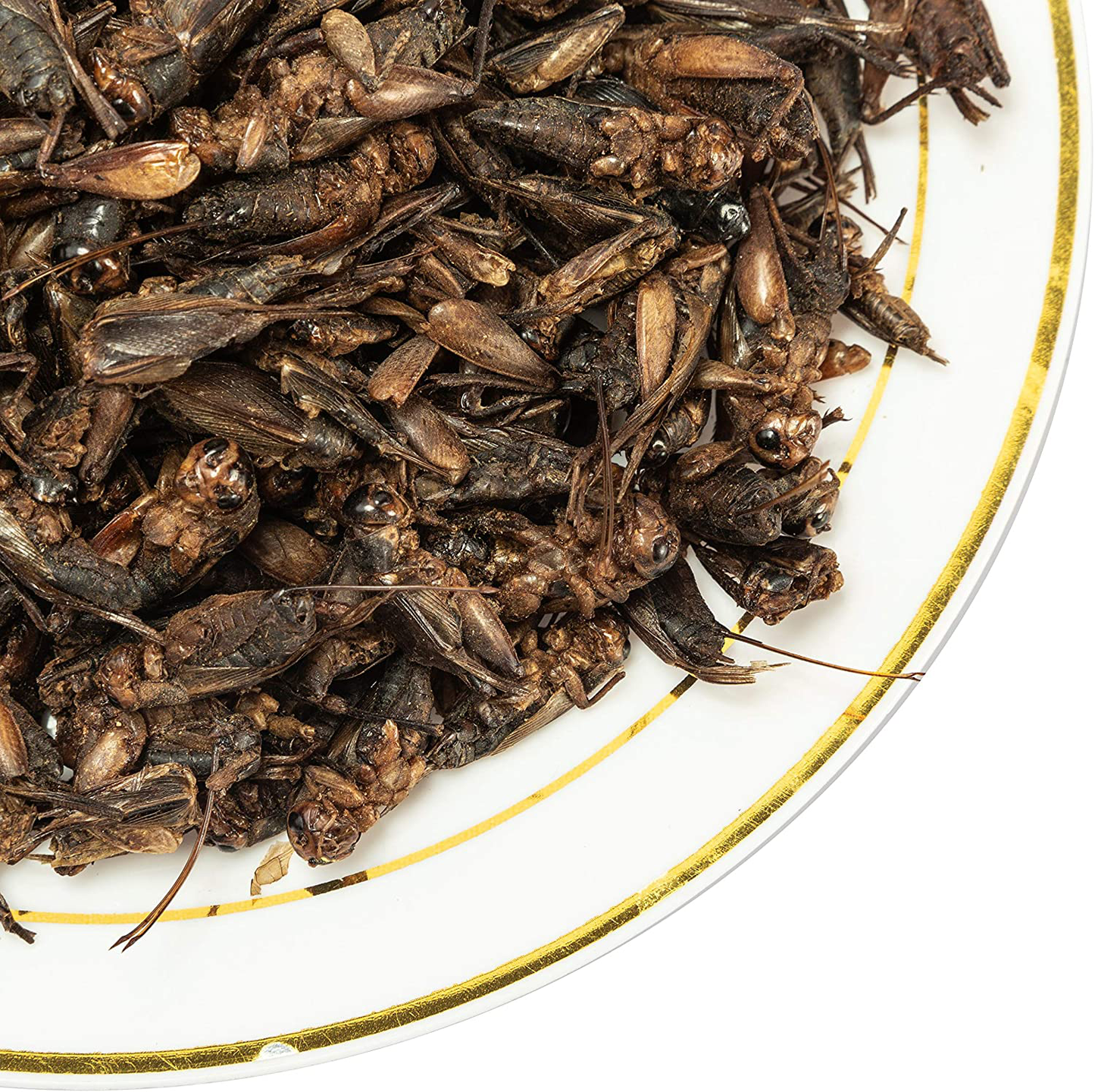 Natural Dried Crickets - Food for Bearded Dragons, Wild Birds, Chicken, Fish, and Reptiles - (8 Oz Resealable Bag) - Veterinary Certified Animals & Pet Supplies > Pet Supplies > Reptile & Amphibian Supplies > Reptile & Amphibian Food Appetizing Mealworms