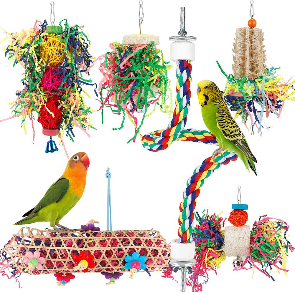 Parrot toys sales