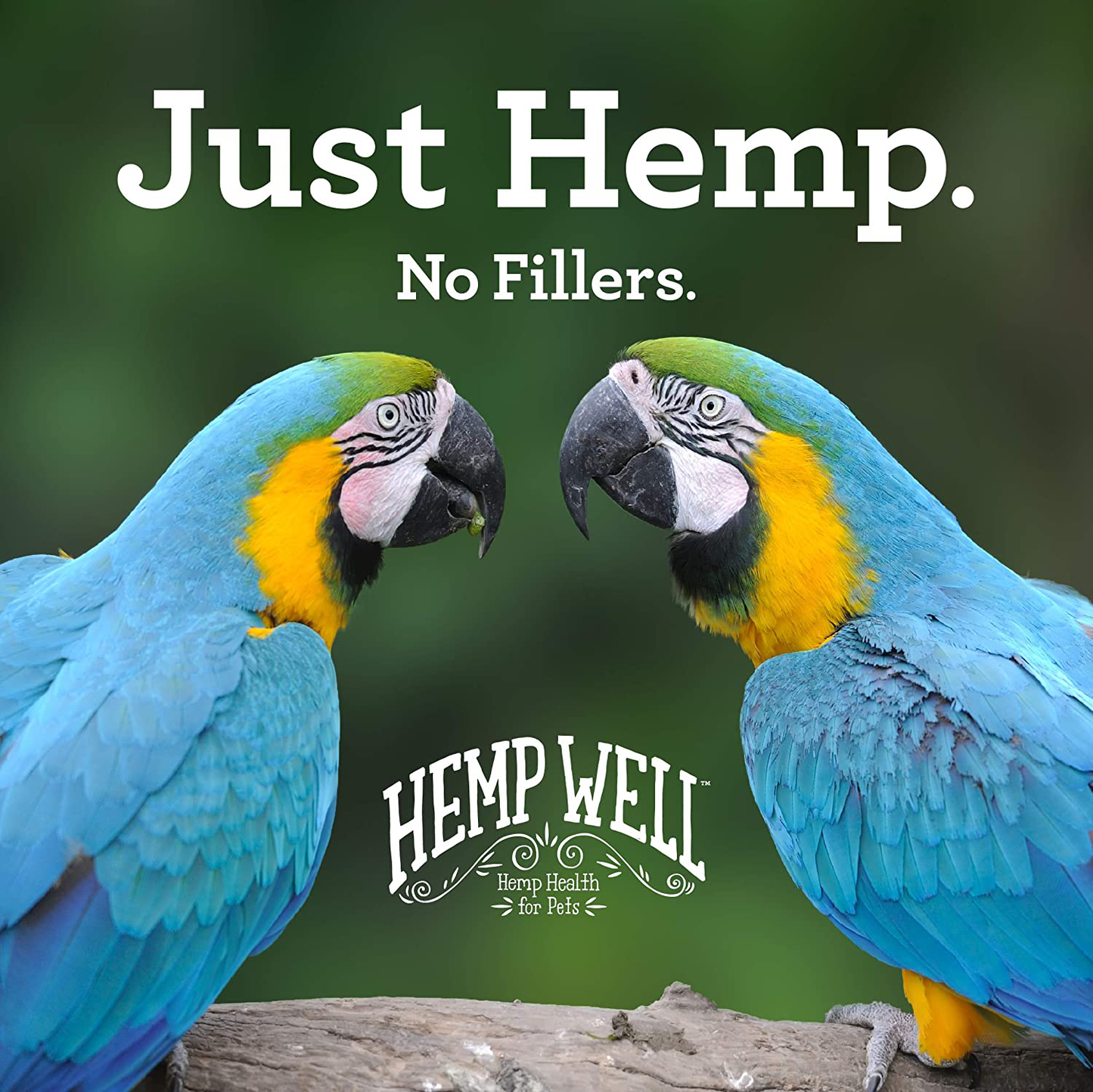 Hemp Well Bird Hemp Oil –Reduces Feather Plucking, Suppresses Destructive Behavior and Promotes Relaxation, Immune Support, Organically Sourced – 2 Ounces Animals & Pet Supplies > Pet Supplies > Bird Supplies > Bird Cage Accessories Hemp Well