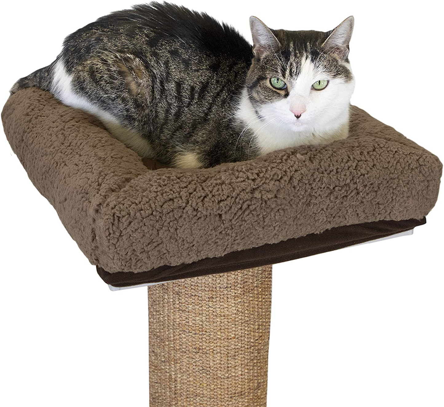 Kitty City Premium Woven Sisal Scratching Collection, Scratching Post, Perch Cushion Animals & Pet Supplies > Pet Supplies > Cat Supplies > Cat Beds Kitty City Perch Cushion