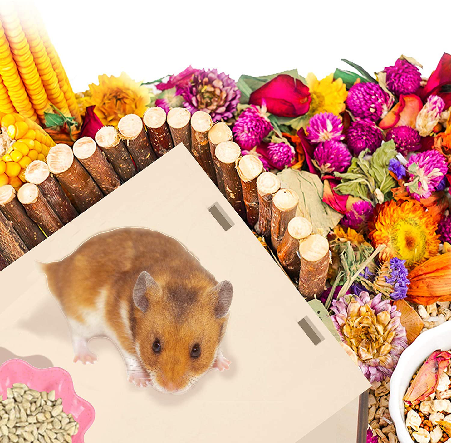 Originalidad Hamster Secret Peep Shed 2-Chamber Hideout & Tunnel Exploring Toys Detachable Habitat House for Guinea Pigs, Hamsters, Chinchillas Animals & Pet Supplies > Pet Supplies > Small Animal Supplies > Small Animal Habitats & Cages Originalidad