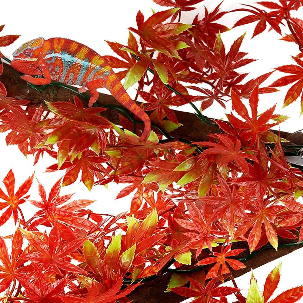 Reptile Plant Supplies,2 Pieces of Purple Hanging Glass Feeding Box Branch with Suction Cup +Reptile 3 in 1 Kit Branches Decor Accessories for Reptile & Amphibian Habitat Plants Animals & Pet Supplies > Pet Supplies > Reptile & Amphibian Supplies > Reptile & Amphibian Habitats FiveBull Redplastic