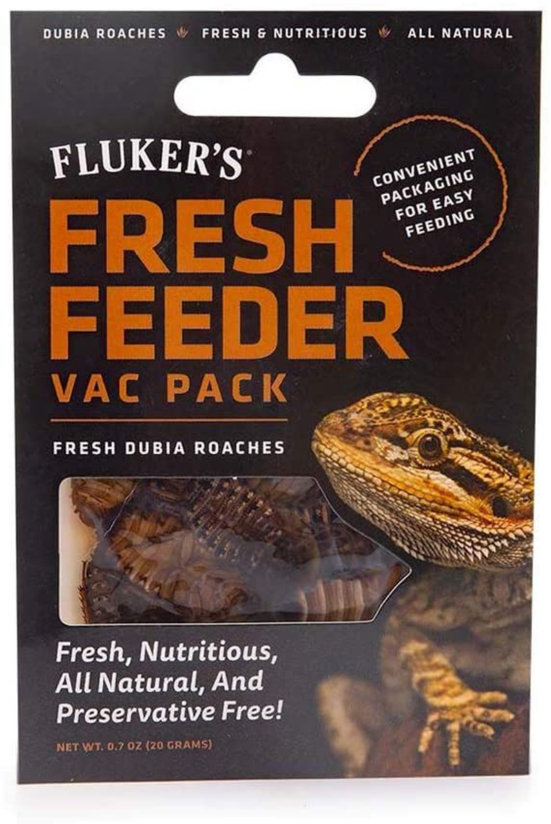Fluker'S Fresh Feeder Vac Pack Reptile Food Dubia Roaches 0.7Oz Animals & Pet Supplies > Pet Supplies > Reptile & Amphibian Supplies > Reptile & Amphibian Food Fluker's