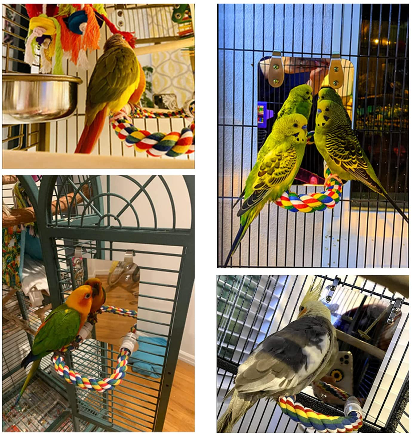 Eeaivnm 7 Inch Pet Bird Mirror Swing Parrot Cage Toys with Rope Perch, Parrot Parakeet Mirror with Bird Swing Bell Toys for Parakeet Cockatoo Cockatiel Conure Lovebirds Finch Canaries Animals & Pet Supplies > Pet Supplies > Bird Supplies > Bird Toys Eeaivnm