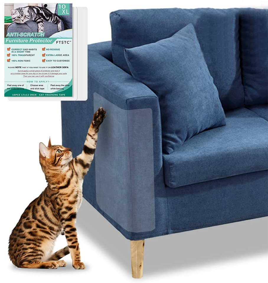 How to protect a couch from cats online