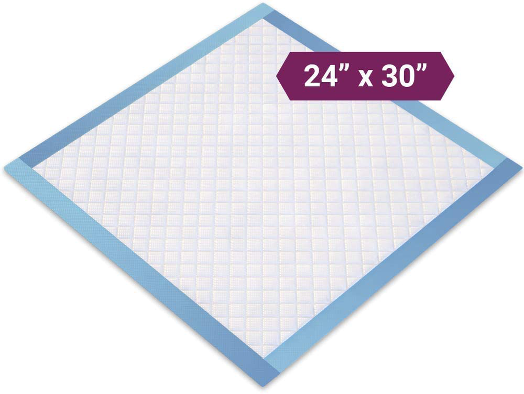 Healthy Spirit Disposable Underpad, 24 X 30 Inch, 50 Count Animals & Pet Supplies > Pet Supplies > Dog Supplies > Dog Diaper Pads & Liners Healthy Spirit