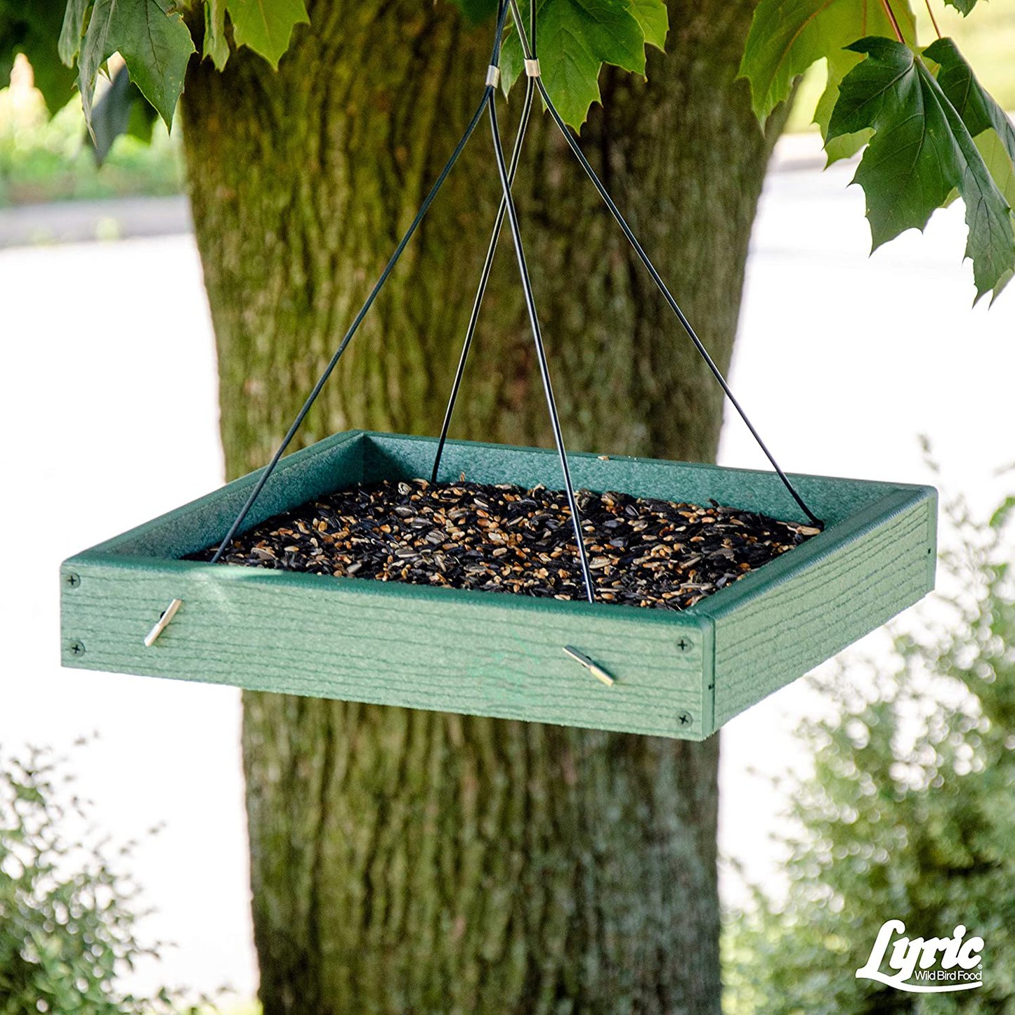 Lyric 2647467 Cardinal Premium Sunflower and Safflower Wild Bird Mix, 3.75 Lb, Dark Animals & Pet Supplies > Pet Supplies > Bird Supplies > Bird Food Lyric