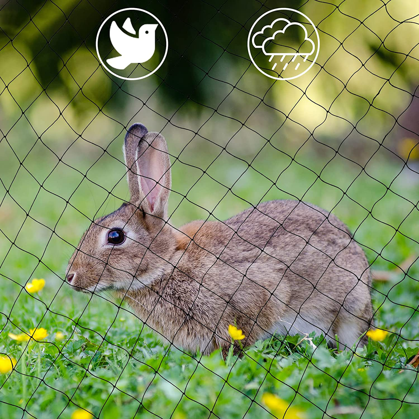 Cat Balcony Net Cat anti Fall Fence Dog Pet Net Nylon Deck Netting for Pets Black Balcony Netting Mesh Garden Netting for Balcony Window Stair Railing Pet Safety Guard Protection Outdoor Indoor Animals & Pet Supplies > Pet Supplies > Fish Supplies > Aquarium Fish Nets Shappy