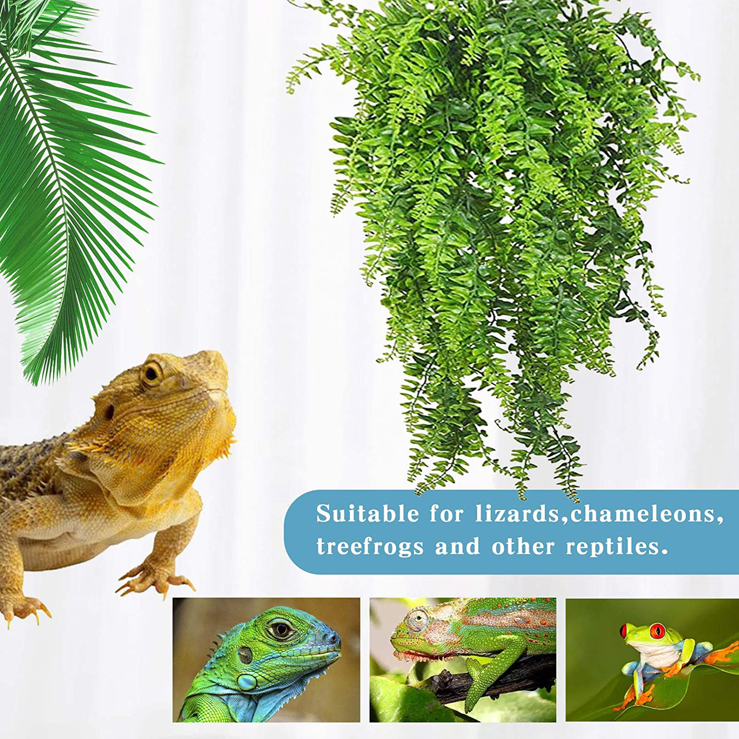 Tfwadmx Reptile Plants Hanging Fake Vines Lizard Coconut Coco Shell Hut Boston Climbing Terrarium Plant with Suction Cup for Bearded Dragons,Geckos,Snake and Tank Habitat Decorations(4 Pcs) Animals & Pet Supplies > Pet Supplies > Reptile & Amphibian Supplies > Reptile & Amphibian Habitats Tfwadmx