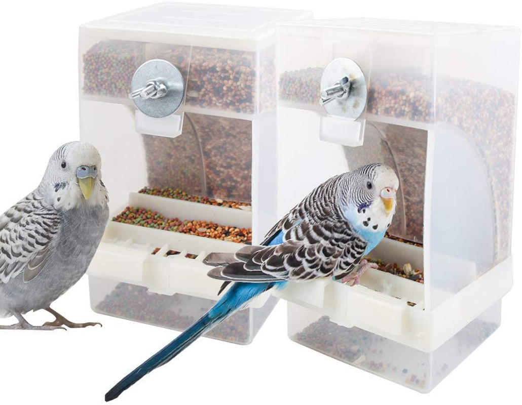 Perches for Pet Birds, Finch Accessories, Finches and Canaries