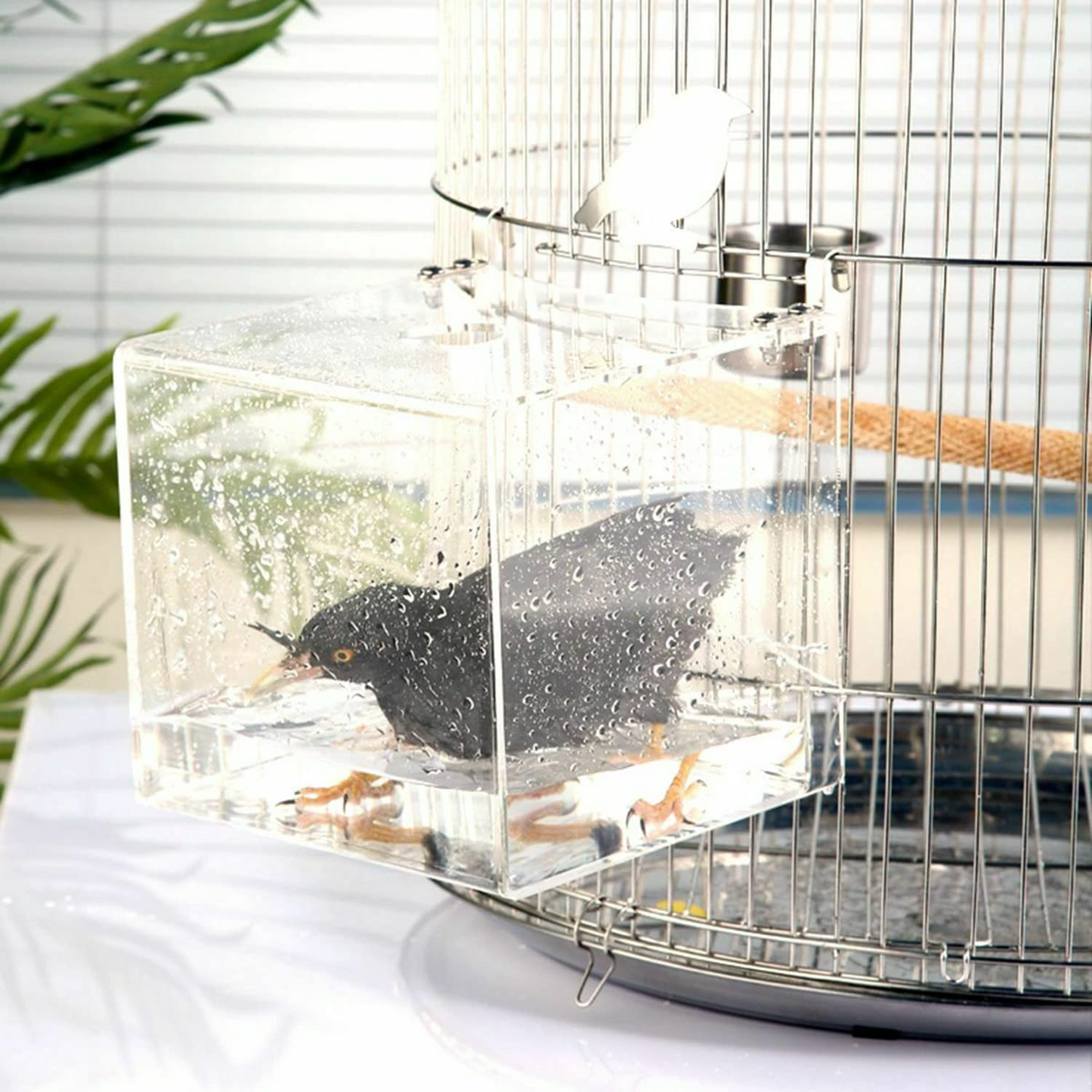 GURECOD Hanging Bird Bath Cube Bird Bathtub Bath Shower Box Bowl Cage Accessory for Little Bird Canary Budgerigar Parrots Crested Myna Cockatiel Lovebird Parakeet Bath Animals & Pet Supplies > Pet Supplies > Bird Supplies > Bird Cage Accessories GURECOD X L