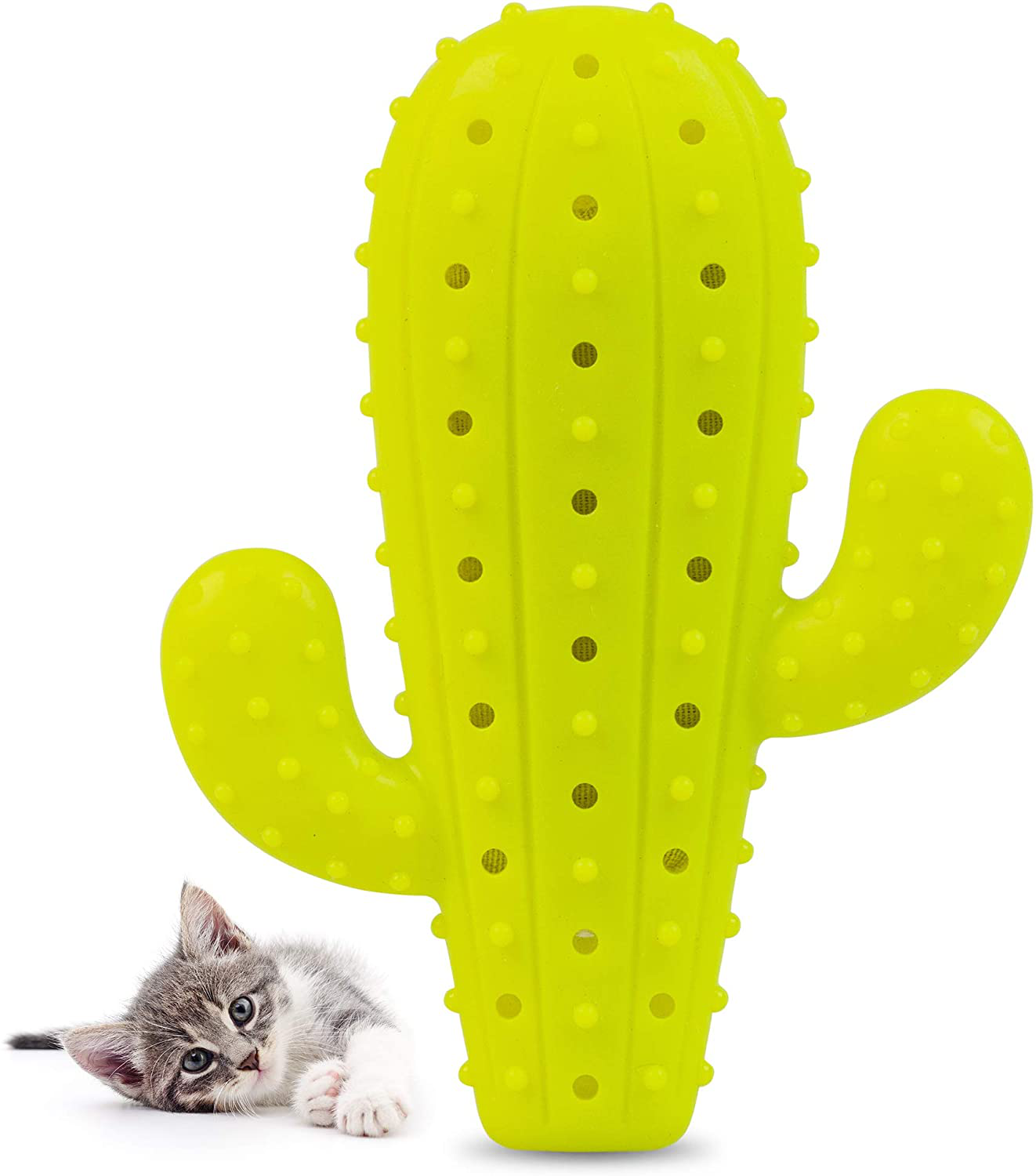 Cactus sales chew toy
