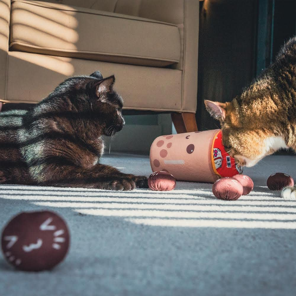 Honeypaw Cat Toy Plush Catnip Nip Interactive Sushi Comfort for Pets Dogs, 7 Inches X 4 Inches Animals & Pet Supplies > Pet Supplies > Cat Supplies > Cat Toys HoneyPaw