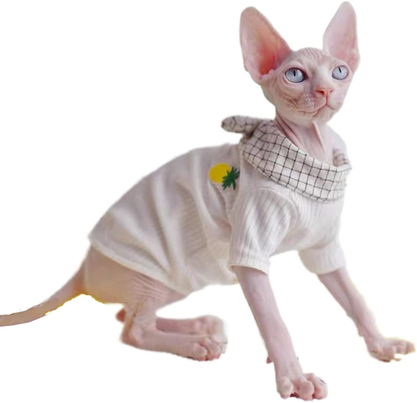 Sphynx Cat Clothes Literary Pineapple Fashion Pet Clothes Comfortable Spring Summer Cat'S Shirts Kitten Shirts Cat Apparel for Sphinx, Cornish Rex, Devon Rex, Peterbald,Knnis,Abbey Cat Animals & Pet Supplies > Pet Supplies > Cat Supplies > Cat Apparel DUOMASUMI WHITE Medium